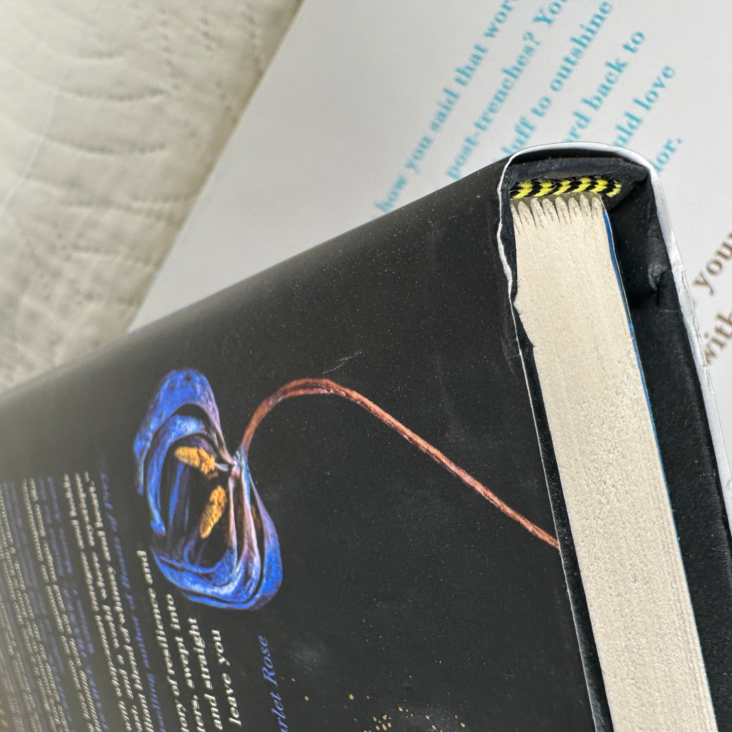 Seconds - Divine Rivals and Ruthless Vows Hand Painted Set by Rebecca Ross with Customizable Quotes