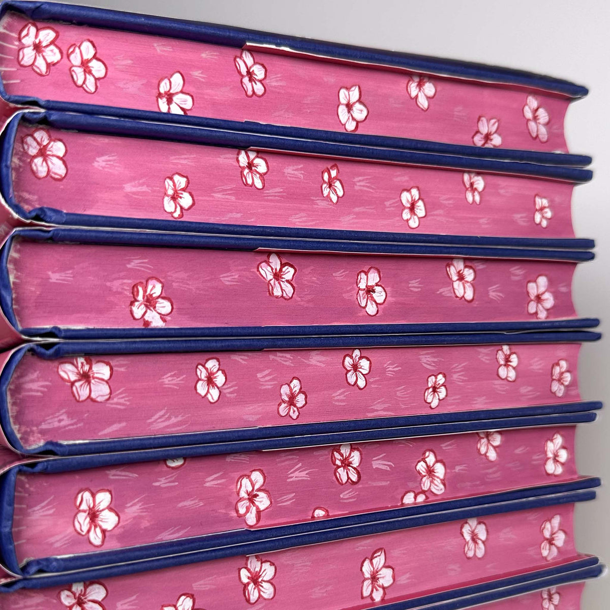 The Mirror of Infinite Endings by Stephanie Garber Hand Painted Custom Fore Edge Book