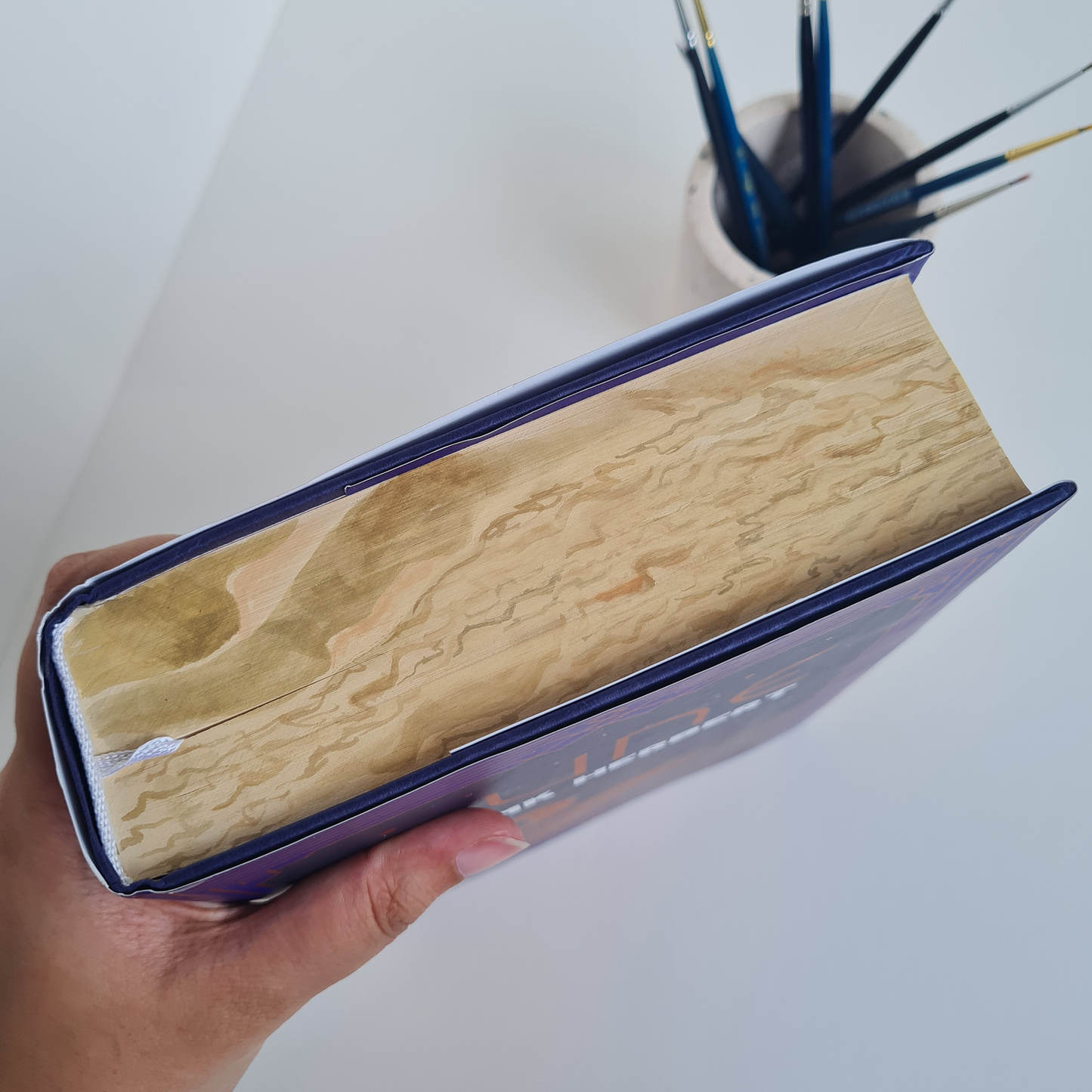 Dune by Frank Herbert Custom Hand Painted Fore Edge Book