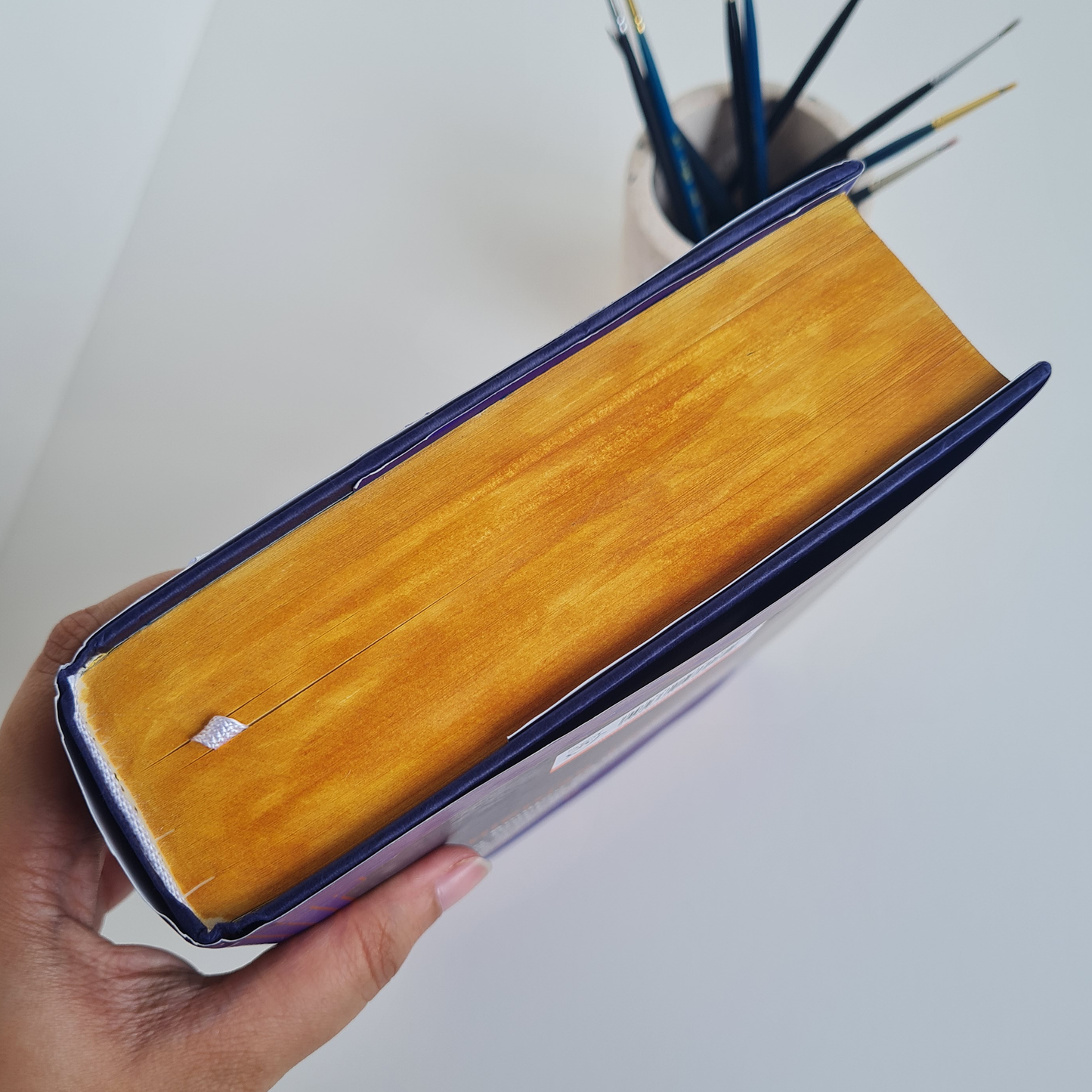 Dune by Frank Herbert Custom Hand Painted Fore Edge Book